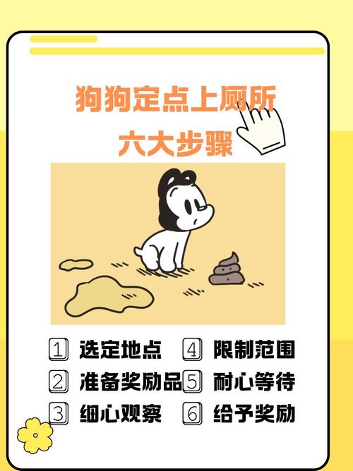 600一节课教狗如厕,