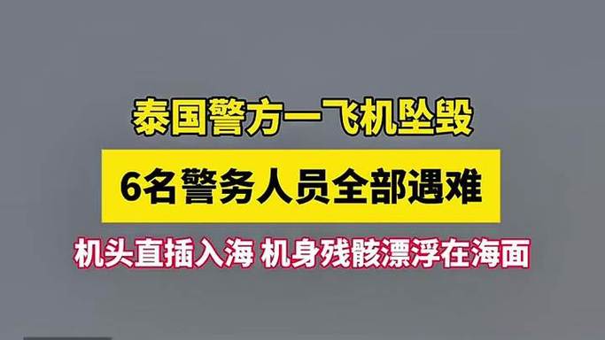 新澳天天开奖资料大全一和飞机坠毁242人遇难与飞机坠毁242人遇难视频
